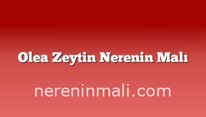 Olea Zeytin Nerenin Malı