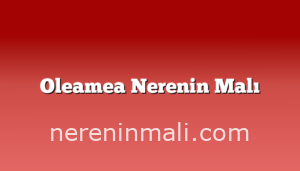 Oleamea Nerenin Malı