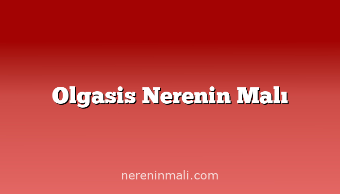 Olgasis Nerenin Malı