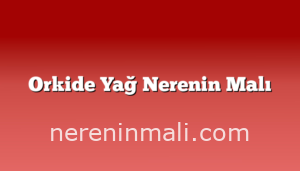 Orkide Yağ Nerenin Malı