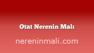 Otat Nerenin Malı