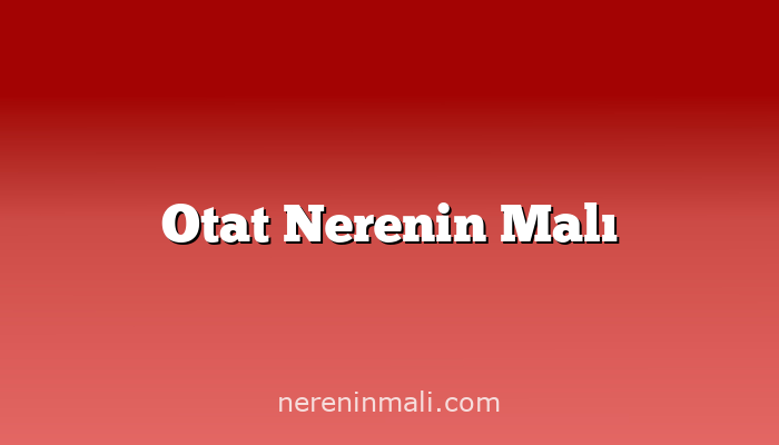 Otat Nerenin Malı