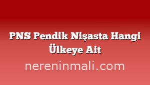 PNS Pendik Nişasta Hangi Ülkeye Ait