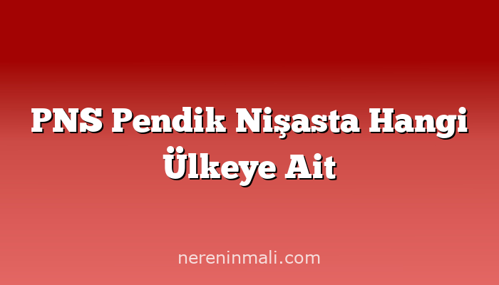 PNS Pendik Nişasta Hangi Ülkeye Ait