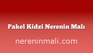 Pakel Kidzi Nerenin Malı