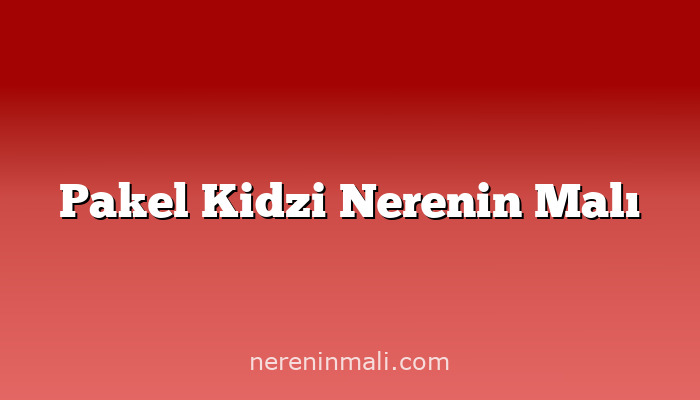 Pakel Kidzi Nerenin Malı