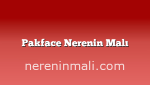 Pakface Nerenin Malı