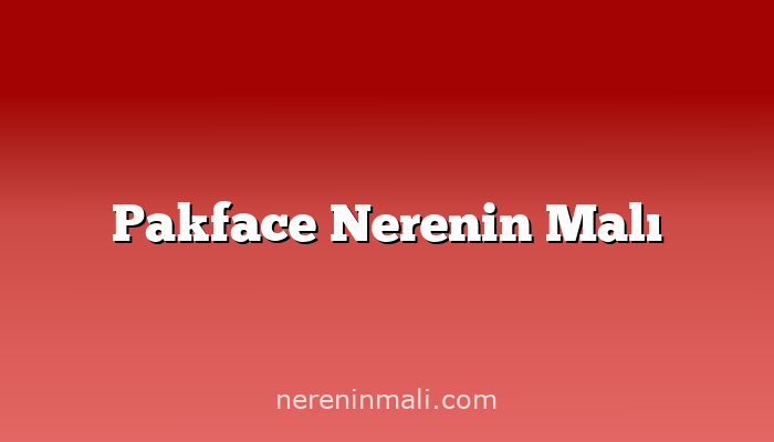 Pakface Nerenin Malı