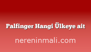 Palfinger Hangi Ülkeye ait