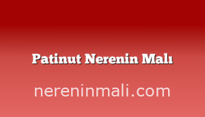 Patinut Nerenin Malı