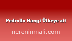 Pedrollo Hangi Ülkeye ait