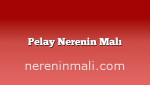 Pelay Nerenin Malı