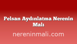 Pelsan Aydınlatma Nerenin Malı