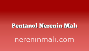 Pentanol Nerenin Malı