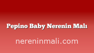 Pepino Baby Nerenin Malı