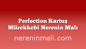 Perfection Kartuş Mürekkebi Nerenin Malı