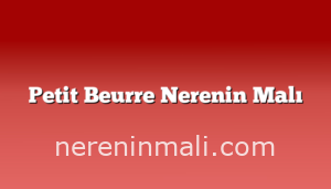 Petit Beurre Nerenin Malı