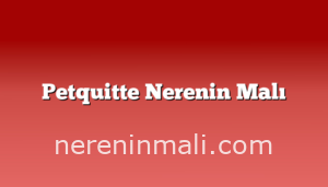 Petquitte Nerenin Malı