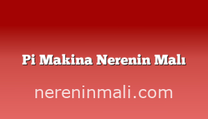 Pi Makina Nerenin Malı