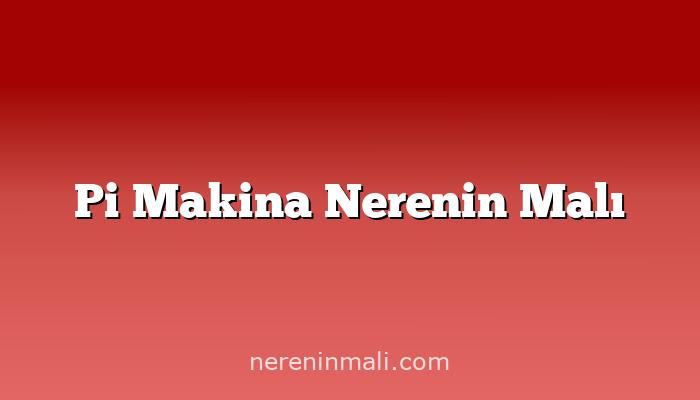 Pi Makina Nerenin Malı