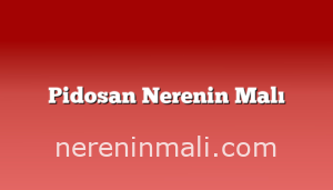 Pidosan Nerenin Malı