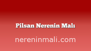 Pilsan Nerenin Malı