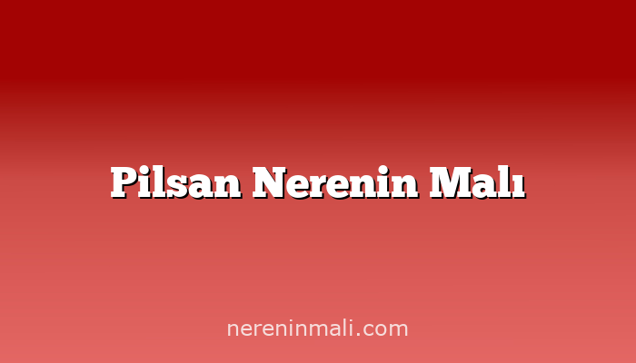 Pilsan Nerenin Malı