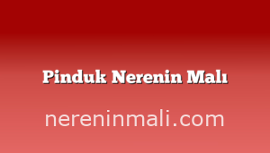 Pinduk Nerenin Malı