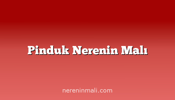 Pinduk Nerenin Malı