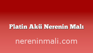 Platin Akü Nerenin Malı