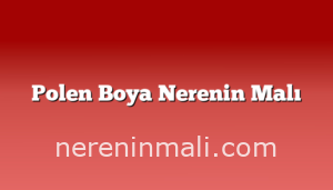 Polen Boya Nerenin Malı