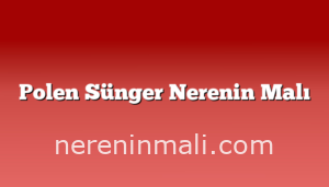 Polen Sünger Nerenin Malı