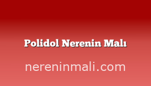 Polidol Nerenin Malı