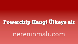 Powerchip Hangi Ülkeye ait