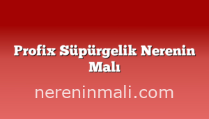 Profix Süpürgelik Nerenin Malı