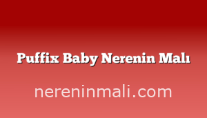 Puffix Baby Nerenin Malı