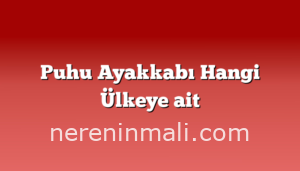 Puhu Ayakkabı Hangi Ülkeye ait