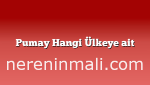 Pumay Hangi Ülkeye ait