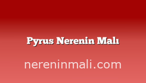 Pyrus Nerenin Malı