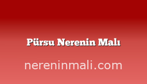 Pürsu Nerenin Malı