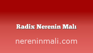 Radix Nerenin Malı