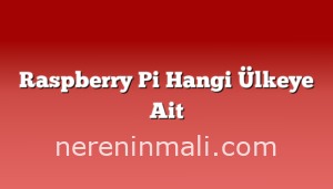 Raspberry Pi Hangi Ülkeye Ait