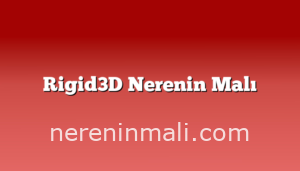 Rigid3D Nerenin Malı