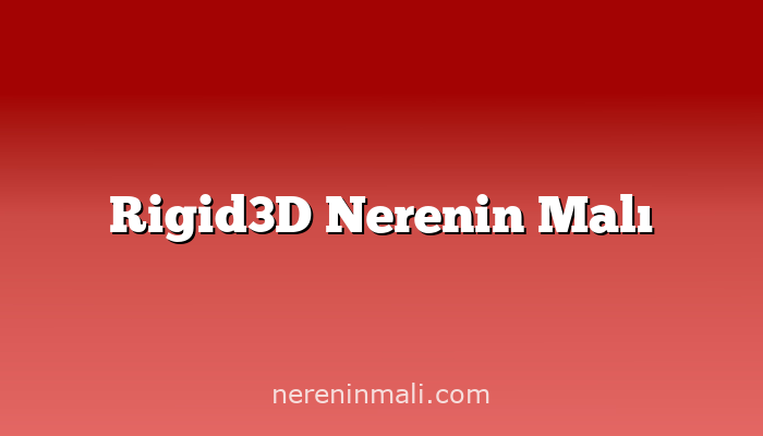 Rigid3D Nerenin Malı