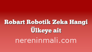 Robart Robotik Zeka Hangi Ülkeye ait