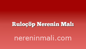 Ruloçöp Nerenin Malı