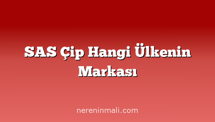 SAS Çip Hangi Ülkenin Markası