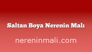 Saltan Boya Nerenin Malı