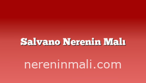 Salvano Nerenin Malı