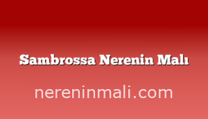 Sambrossa Nerenin Malı